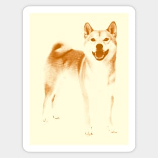 Shiba Inu :3 Sticker